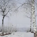 Tanja's Kaiserdomizil Διαμέρισμα Walchsee