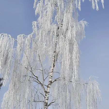 Tanja's Kaiserdomizil Walchsee