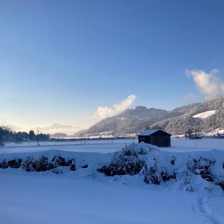 Tanja's Kaiserdomizil Apartment Walchsee