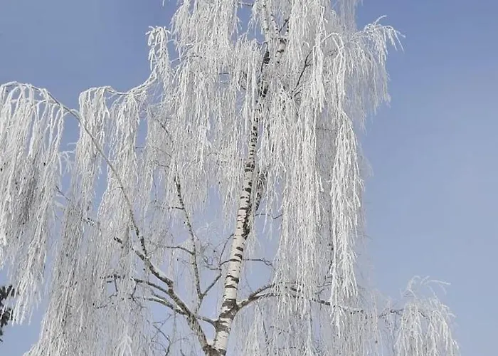 Tanja's Kaiserdomizil Walchsee