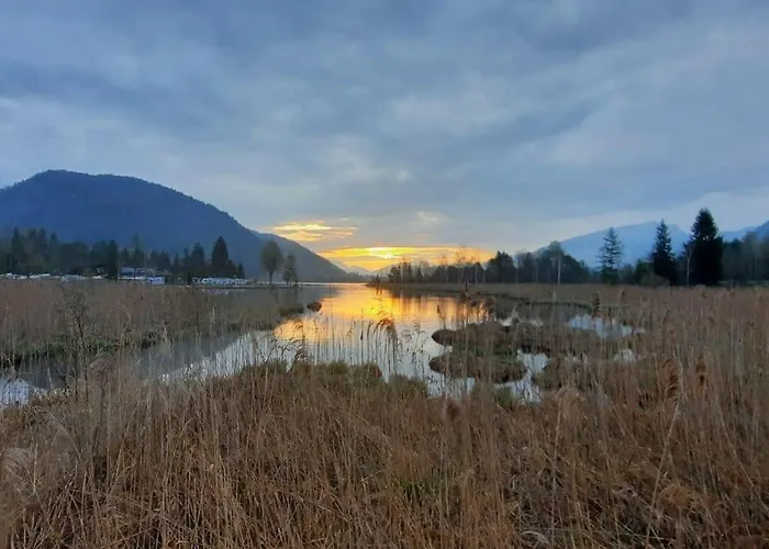 Appartement Tanja's Kaiserdomizil Walchsee