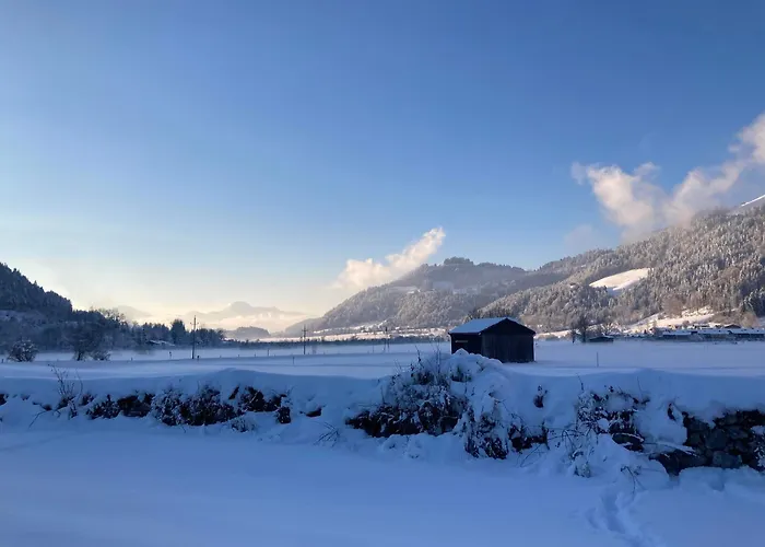 Tanja's Kaiserdomizil Appartement Walchsee