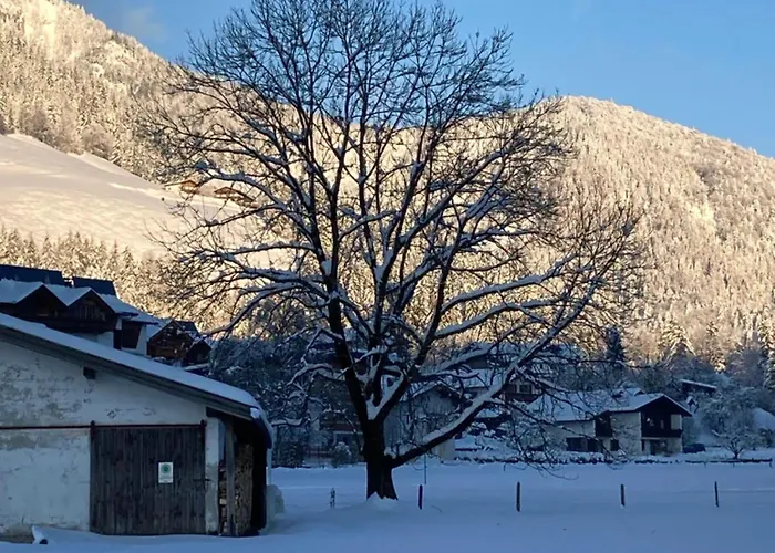 Tanja's Kaiserdomizil Appartement