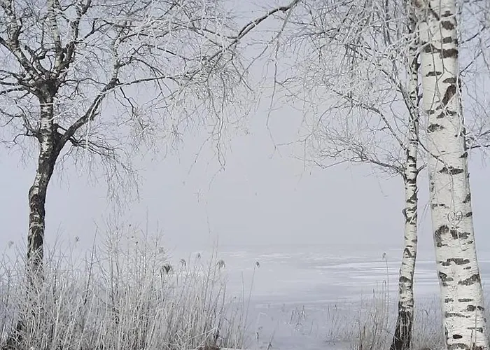 Tanja's Kaiserdomizil Appartement Walchsee