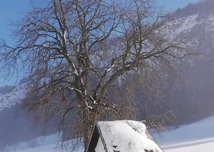 Appartement Tanja's Kaiserdomizil