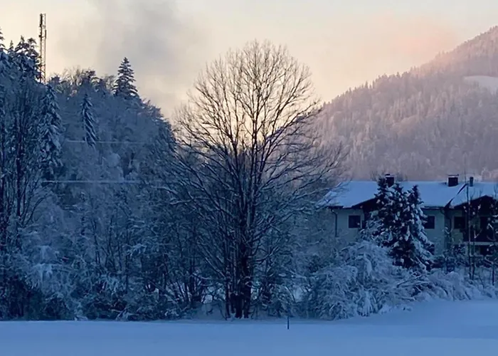 Appartement Tanja's Kaiserdomizil Walchsee